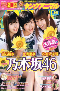孤独一掷2023在线高清观看